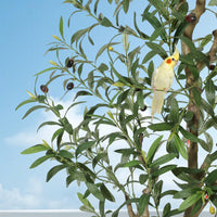 PHK_33CGPPB8