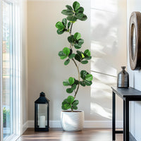 Albero di fico artificiale Garvee a forma di S, 7 piedi, con 59 foglie, rami flessibili, vaso nero per ufficio e soggiorno, durevole, verde realistico