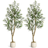 Garvee Alberi di Ulivo Artificiali Indoor 5 ft, Rami Regolabili, Tronco in Legno Naturale, Vasi Bianchi, Decorazione Casa e Ufficio