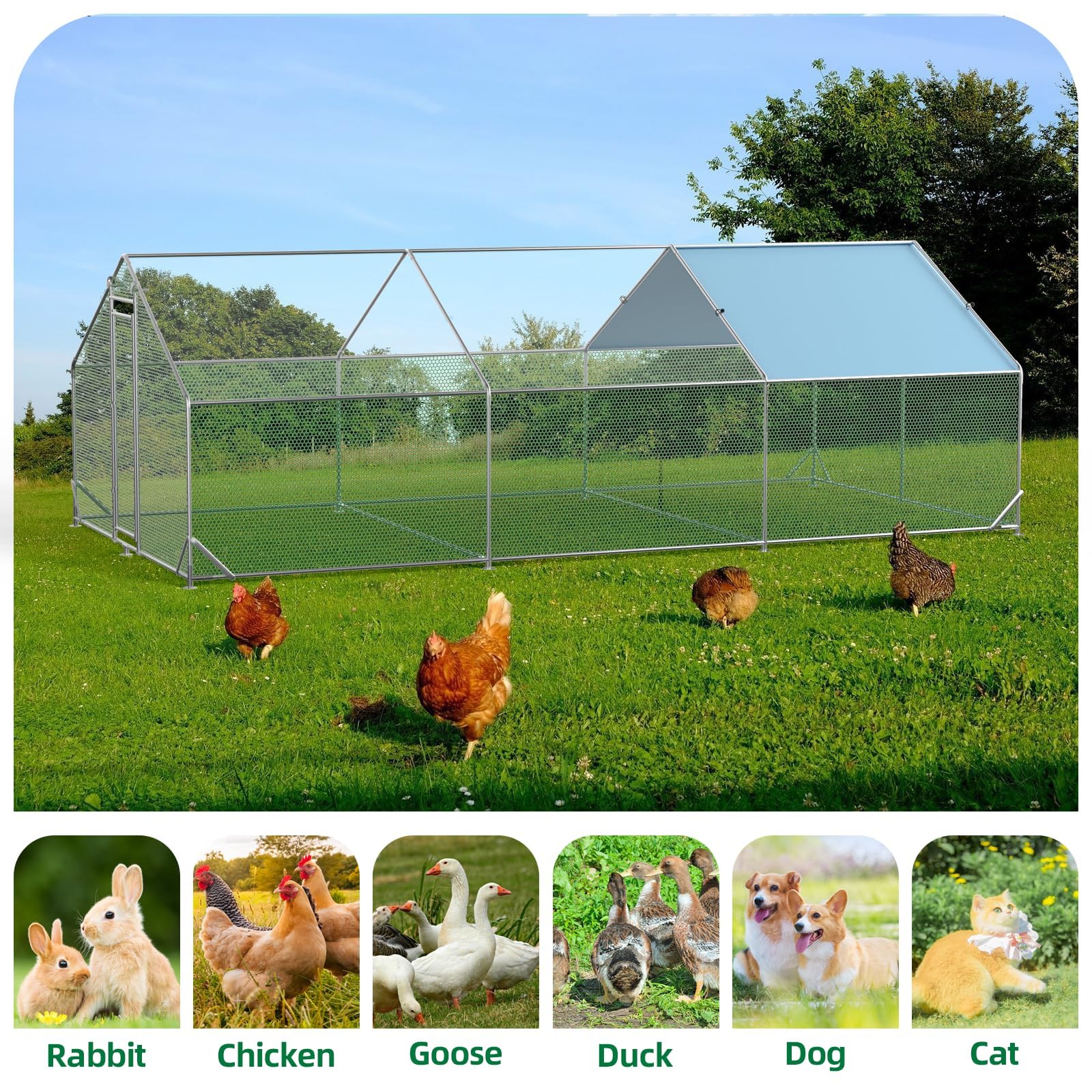 Pollaio in metallo Garvee Large 3 x 6 x 1.95 m – Tre scomparti, struttura in tubo di acciaio triplo rinforzato per giardino e fattoria