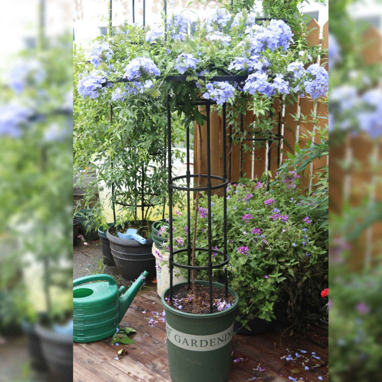 Garvee Gardena Torre a traliccio rotonda per giardino verticale Supporto per piante rampicanti in acciaio per piante Fiori Arbusti Verdure 47 pollici Nero