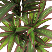 Pianta artificiale di Dracena Garvee da 5 piedi con vaso conico bianco per decorazione d'interni, facile da curare, design flessibile