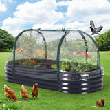 Garvee Aiuola Sopraelevata in Metallo con Rete Antiuccelli Kit Cassetta per Piante in Acciaio Zincato per Balcone e Giardino Versatile Robusta Montaggio Facile - Ovale