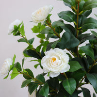 Albero di camelia artificiale Garvee da 150-180 cm con foglie e fiori realistici, facile da pulire, bianco, per la decorazione di casa e ufficio