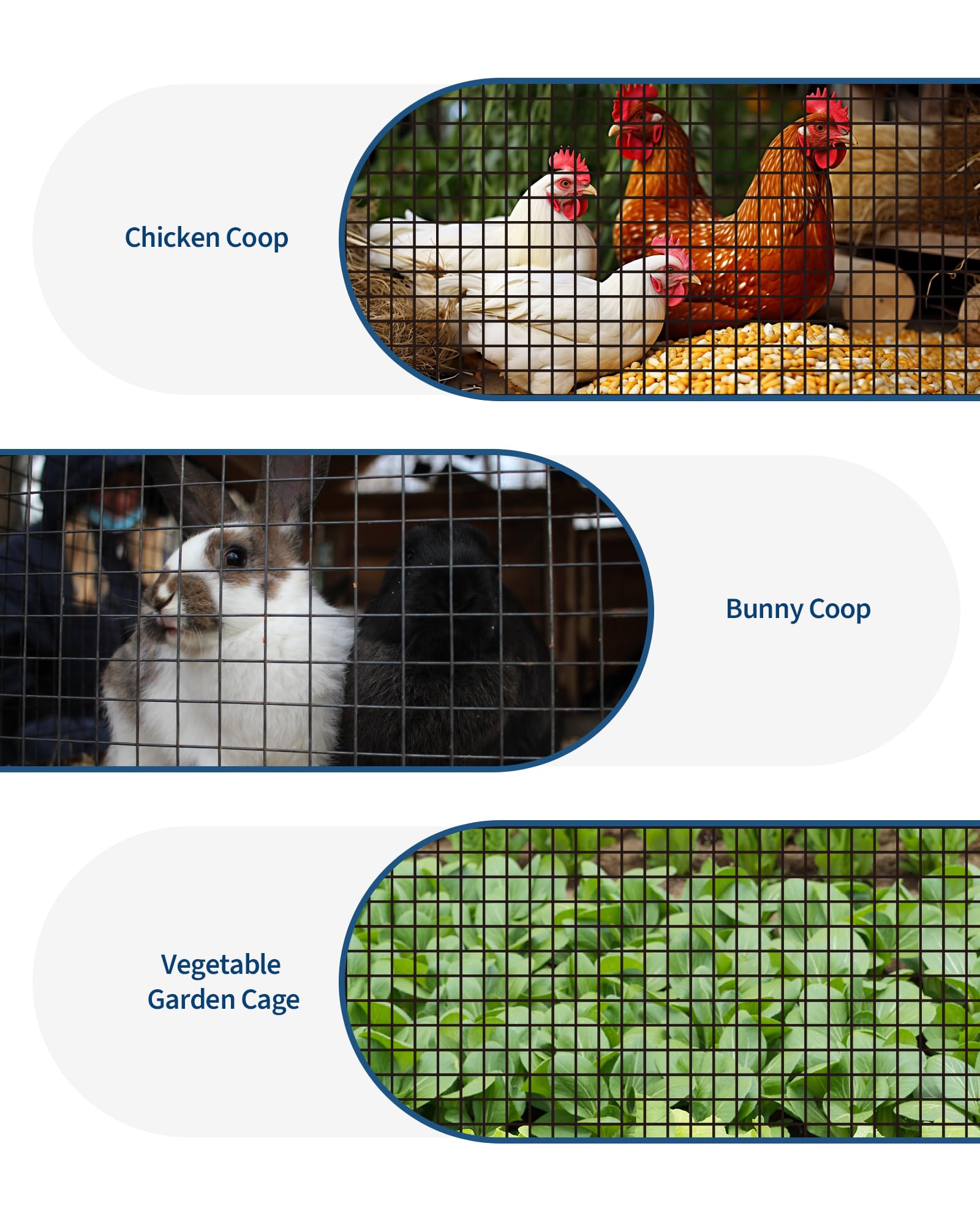 Rete metallica Garvee da 1/2 pollice 36x50 piedi, zincata 19GA, rivestita in vinile nero, antiruggine, leggermente flessibile per pollame e giardino