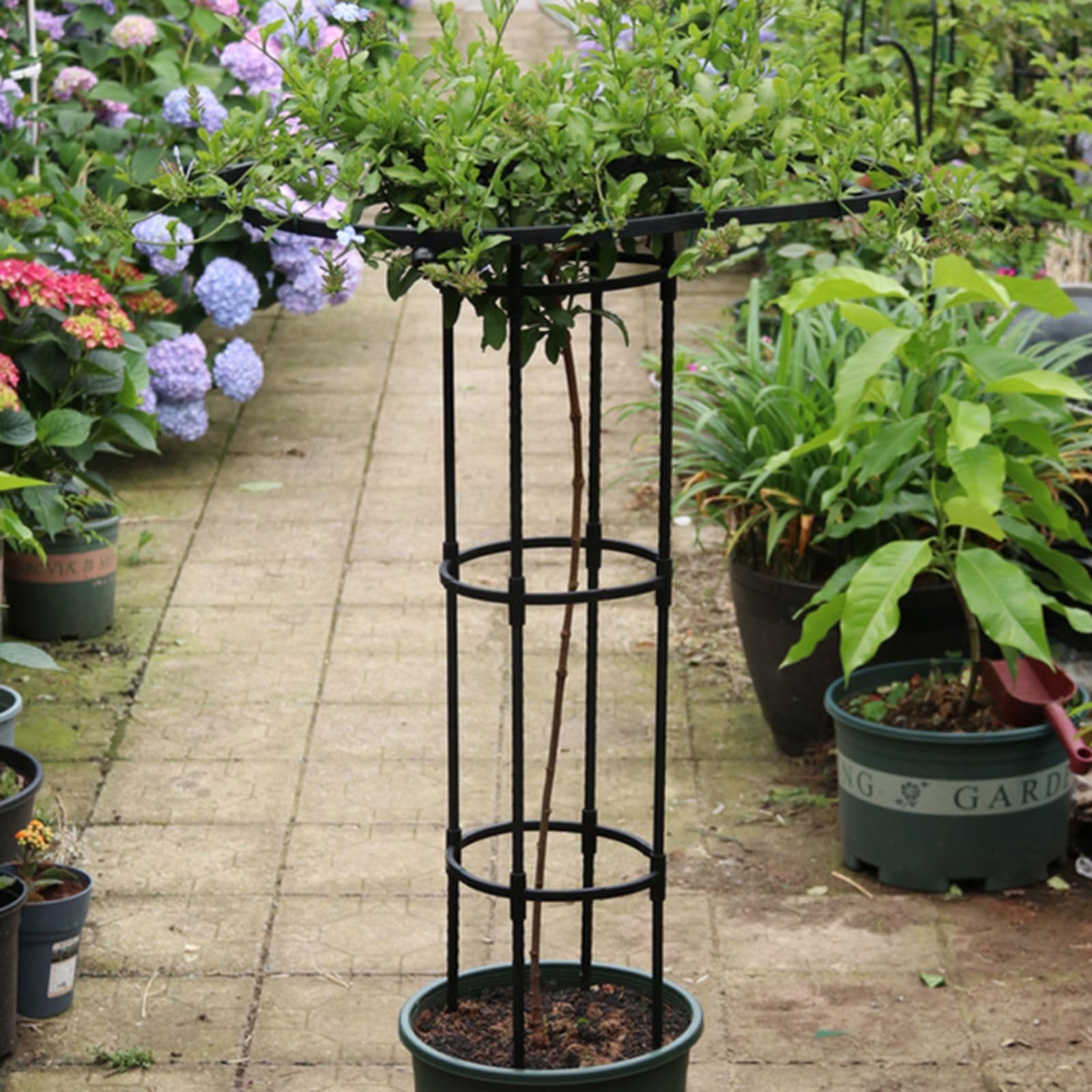 Garvee Gardena Torre a traliccio rotonda per giardino verticale Supporto per piante rampicanti in acciaio per piante Fiori Arbusti Verdure 47 pollici Nero