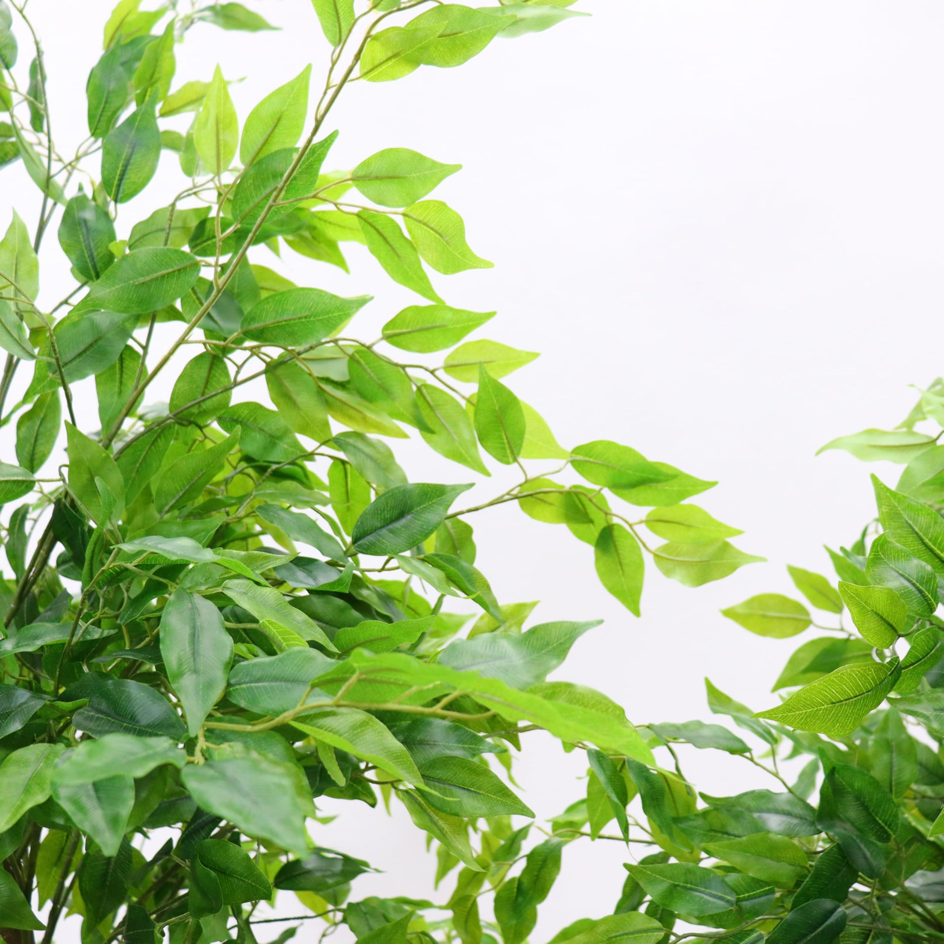 Albero artificiale da interno Garvee con foglie di gomma, tronco naturale, fioriera stabile per casa e ufficio, moderno, facile da curare