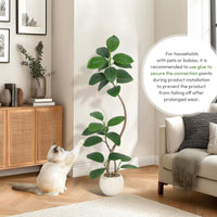 Albero di gomma artificiale Garvee da 5 piedi con vaso in resina bianca, resistente ai raggi UV, adatto a soggetti allergici, decorazione per interni e ufficio, marrone-bianco, realistico