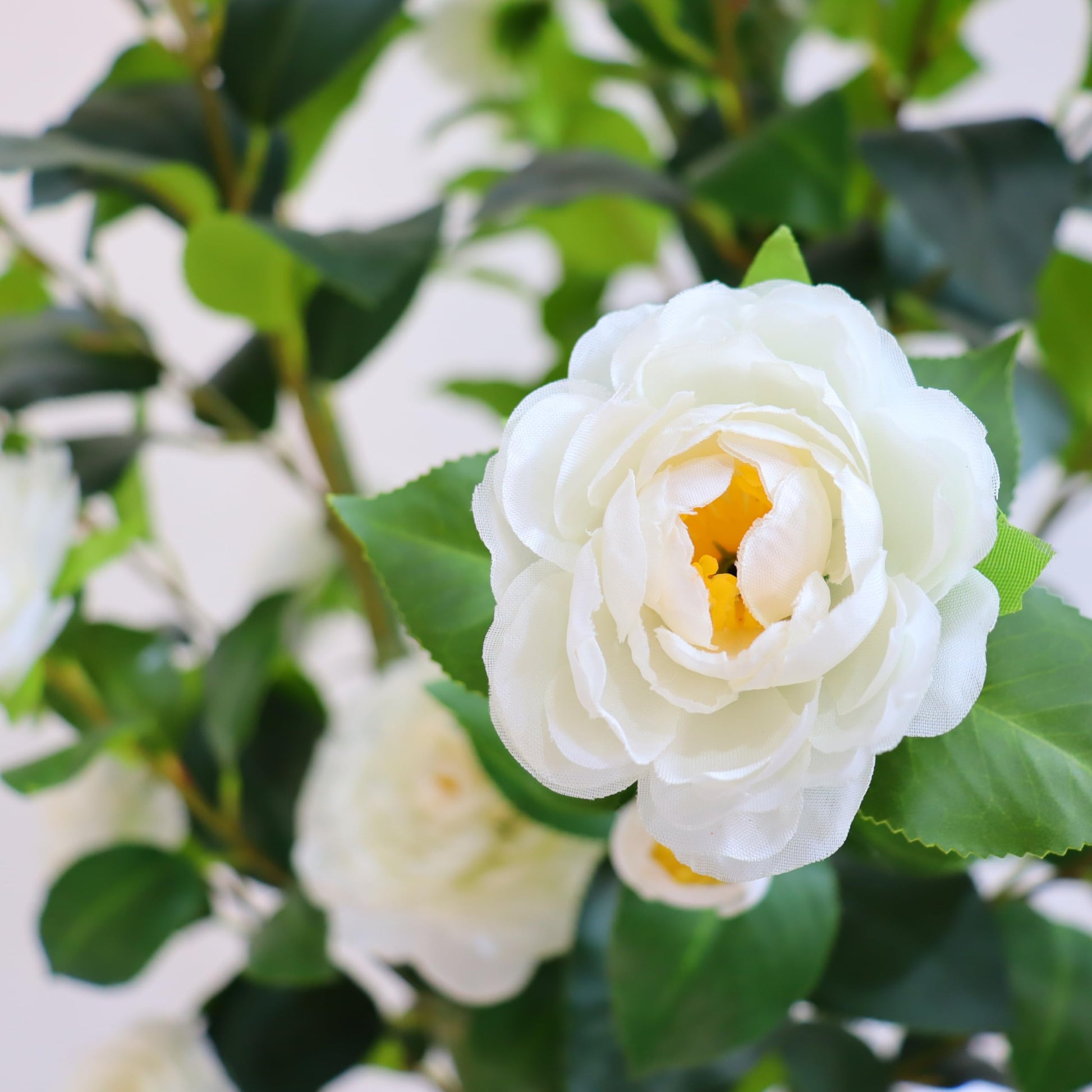 Albero di camelia artificiale Garvee da 150-180 cm con foglie e fiori realistici, facile da pulire, bianco, per la decorazione di casa e ufficio