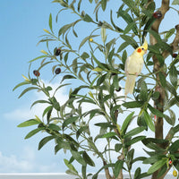 Albero di ulivo artificiale Garvee da 6 piedi con frutti realistici e tronco flessibile per interni, soggiorno, ufficio, vaso bianco