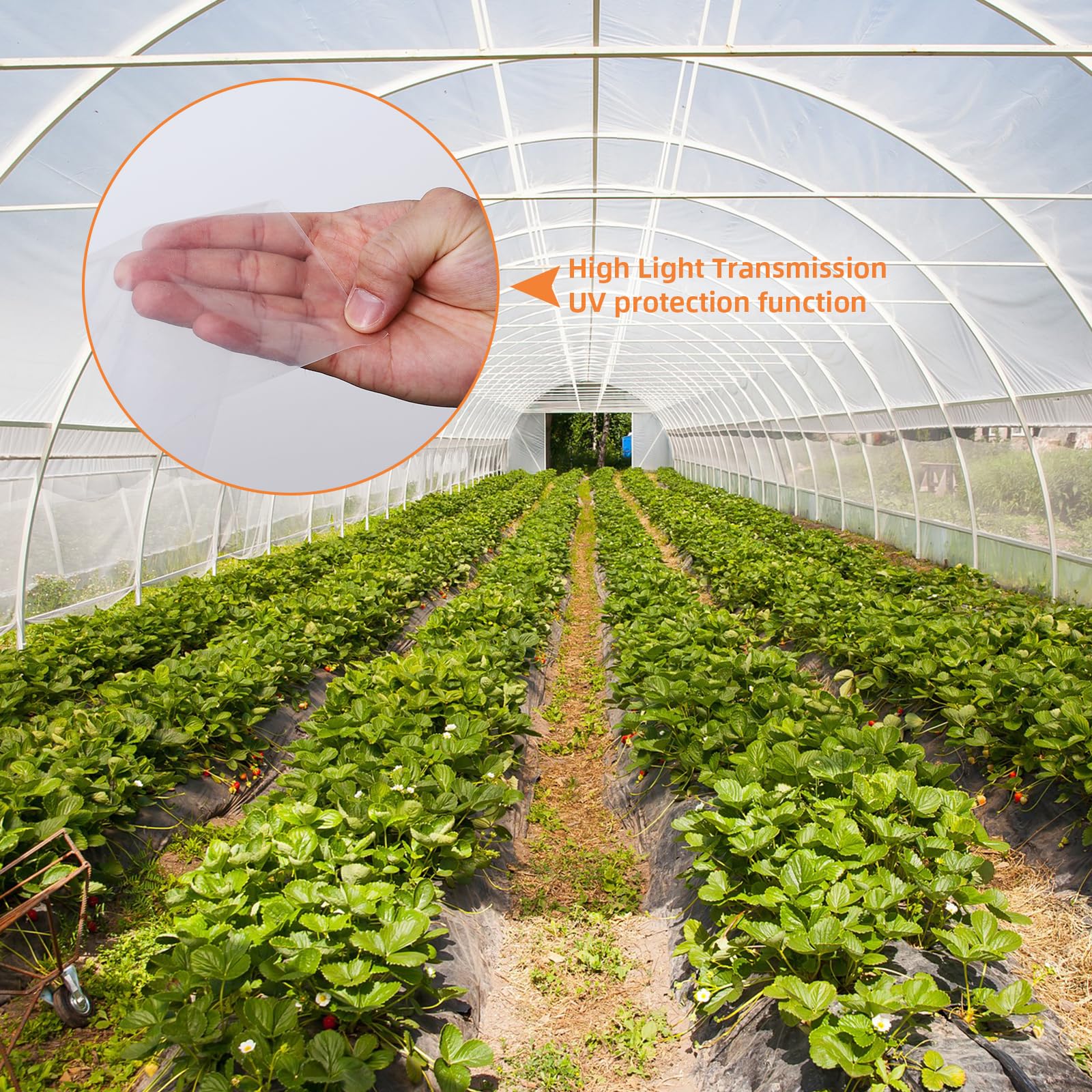 Garvee Lámina Transparente Polietileno Invernadero 6 Mil Extra Gruesa Resistente UV Anti-Goteo Jardín Granja 4,87x7,62 m