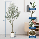 Garvee Albero d'Ulivo Artificiale 6Ft Realistico con Vaso Bianco Moderno per Casa Ufficio, Poliestere, Rami Modellabili, Senza Manutenzione - Green 6Ft