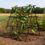 Garvee Gartenspalier Per Piante Rampicanti, Struttura A Regolabile, Metallo Resistente, Rete Antiruggine, Giardino E Orto, 120x120cm