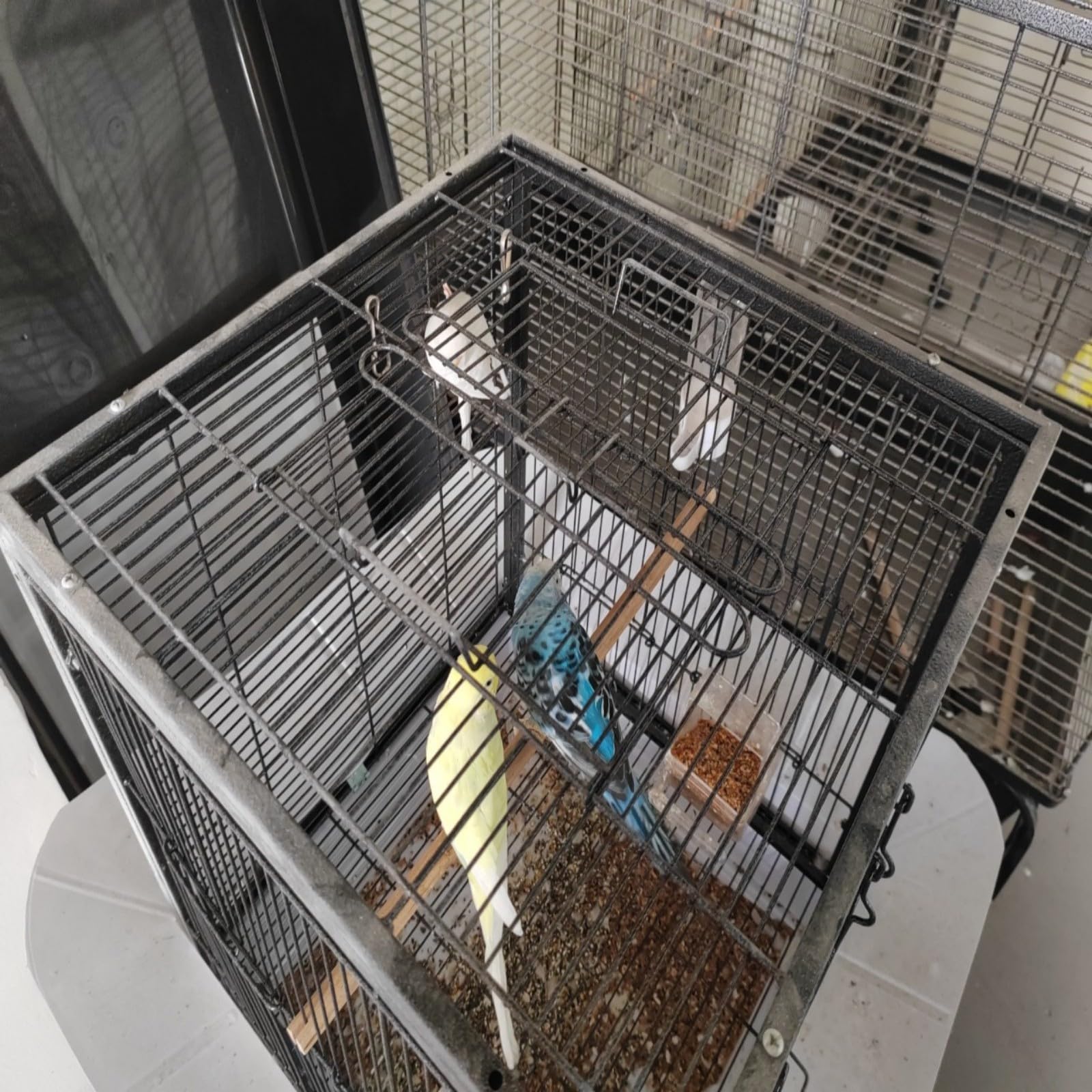 Gabbia per uccelli in metallo Garvee, alta 24 pollici, per uccelli di piccole e medie dimensioni, robusta struttura in metallo, trasparente, portatile, ideale per i viaggi e per la casa.