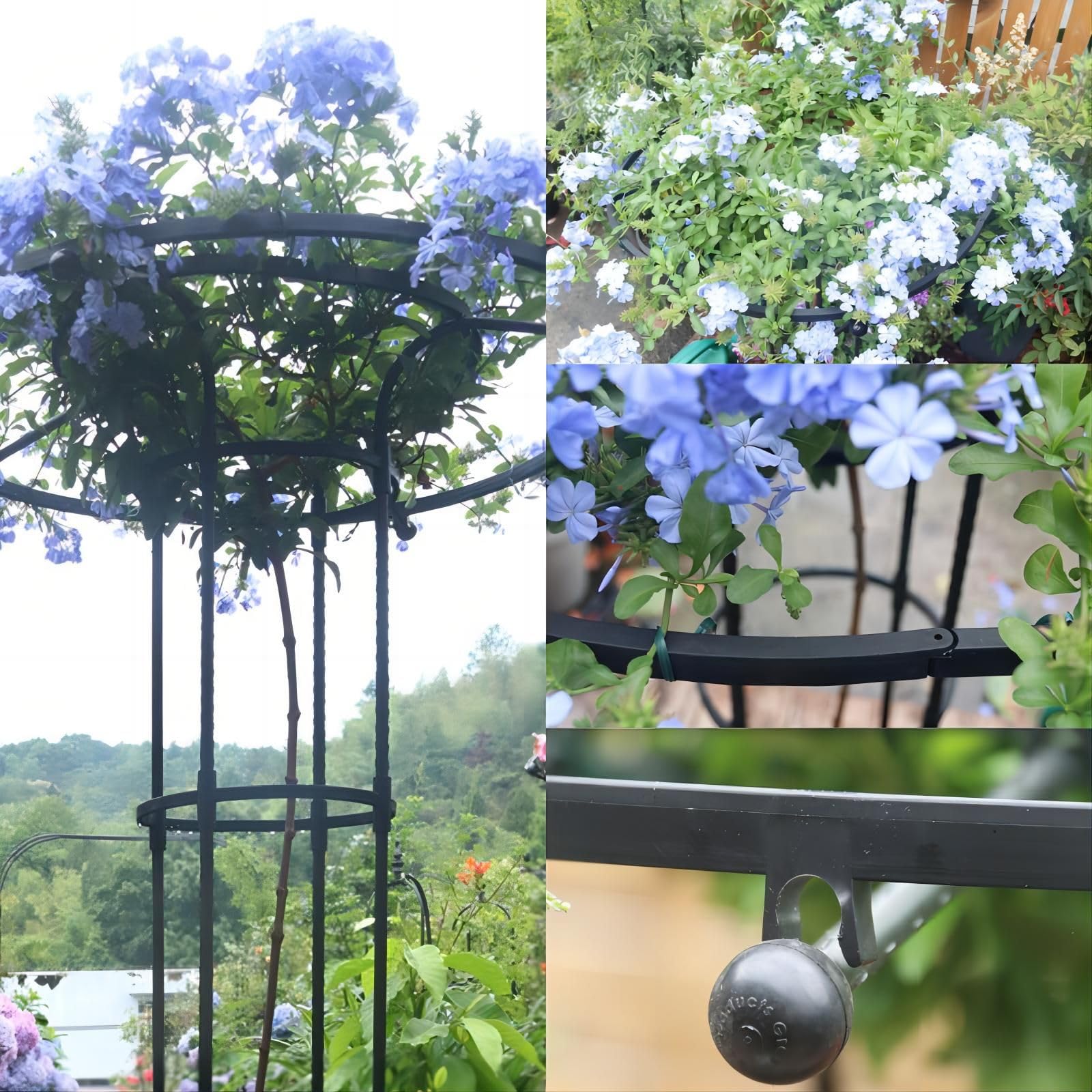 Supporto per piante Garvee, scala da giardino con anello di supporto, metallo resistente alle intemperie, per giardino e terrazza, versatile supporto per piante, ortensie e rose.