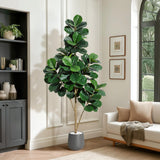 Garvee Albero Fico Foglia di Fico 6FT Artificiale Realistico con Vaso Grigio 9" per Decorazione Interni Casa Ufficio - With Black Planter