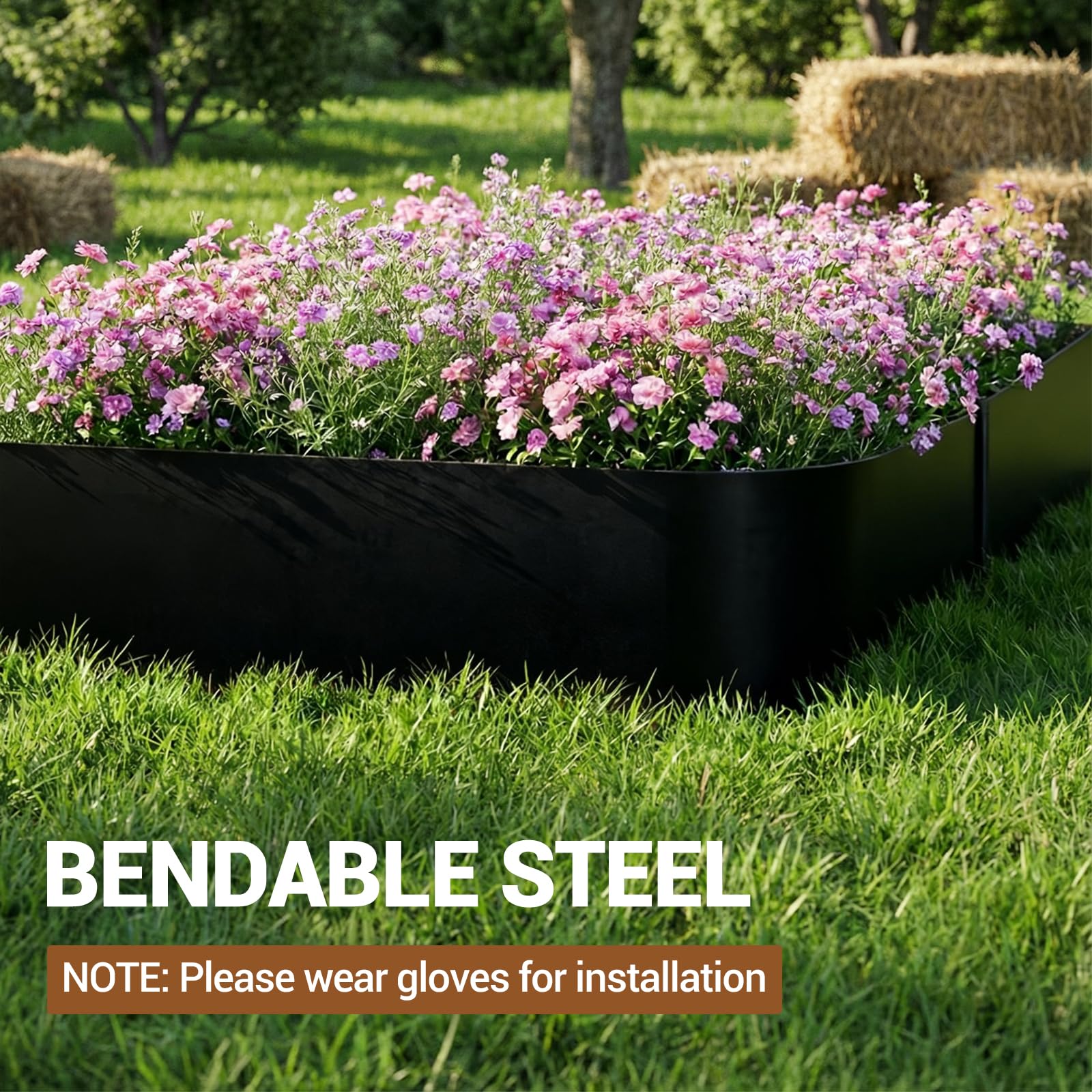 PPG_34B8JCV7