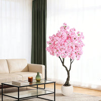 PHK_37HQ3UAM