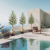 Albero di ulivo artificiale Garvee da 6 piedi con tronco realistico in PE e rami regolabili per la decorazione di casa e ufficio, nero, stabile