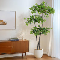 GARVEE Albero di ulivo nero artificiale 180 cm – Resistente ai raggi UV, non richiede manutenzione ed elegante per soggiorno, ufficio e decorazioni esterne