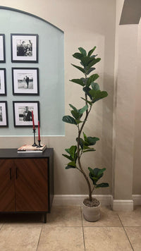 Albero di fico artificiale Garvee a foglia di violino, 6 piedi, con 42 foglie, rami regolabili, vaso di cemento nero per soggiorno e ufficio