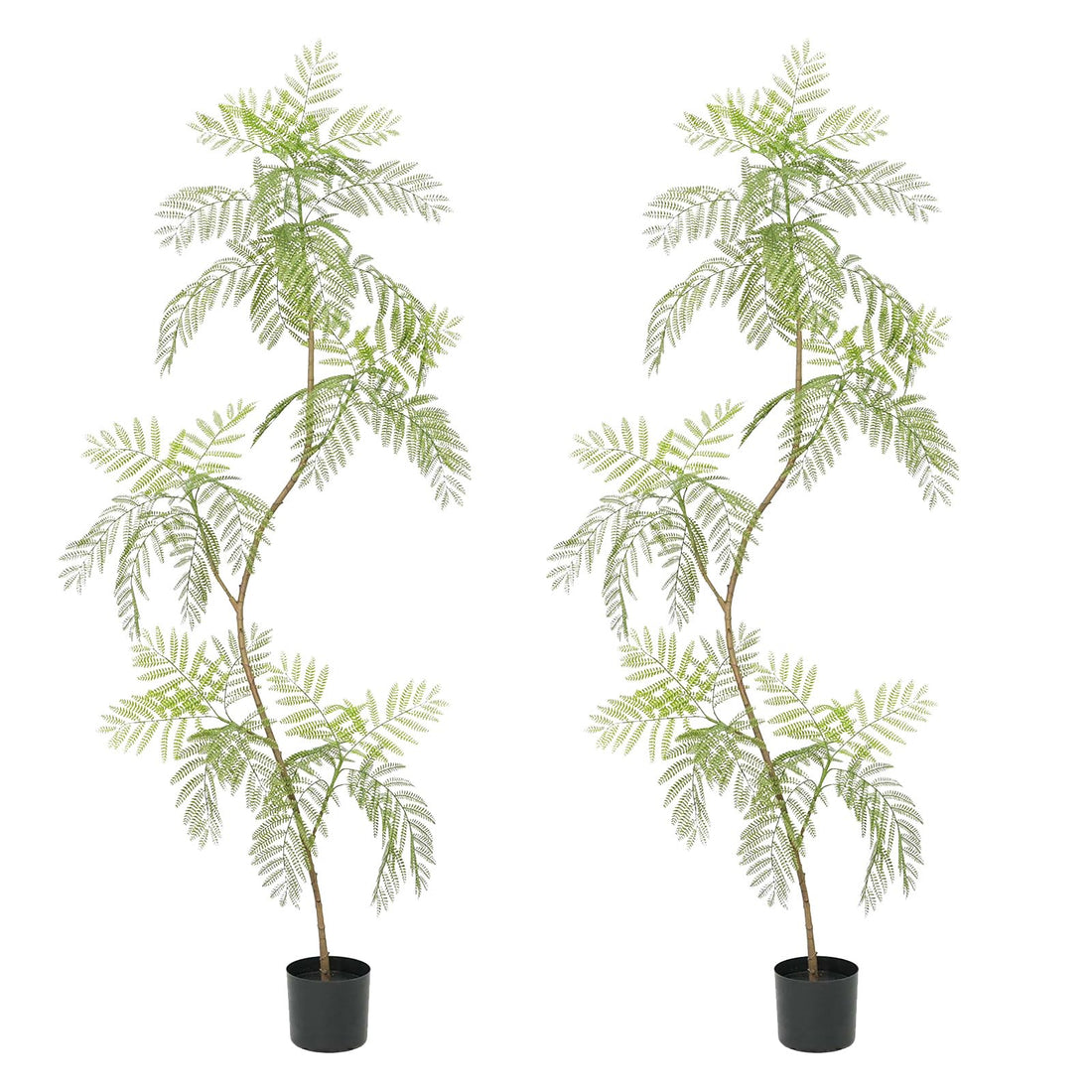 Albero di Jacaranda artificiale Garvee, confezione da 2, 2 m, con foglie realistiche, per ufficio e soggiorno, facile da pulire, verde