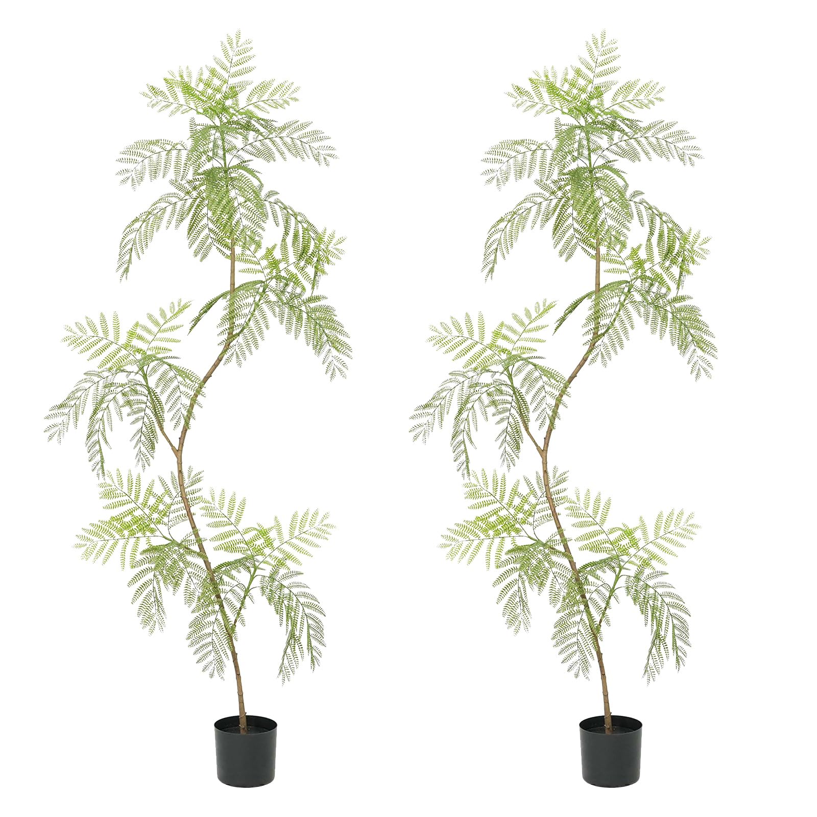 Albero di Jacaranda artificiale Garvee, confezione da 2, 2 m, con foglie realistiche, per ufficio e soggiorno, facile da pulire, verde