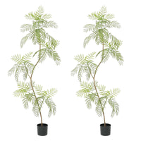 Albero di Jacaranda artificiale Garvee, confezione da 2, 2 m, con foglie realistiche, per ufficio e soggiorno, facile da pulire, verde