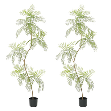 Albero di Jacaranda artificiale Garvee, confezione da 2, 2 m, con foglie realistiche, per ufficio e soggiorno, facile da pulire, verde