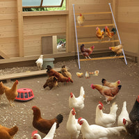 Garvee Chicken Roost per pollaio - Spazioso e resistente alle intemperie - Legno e metallo zincato - Ideale per cortile e fattoria - 55x39 pollici - Colore naturale