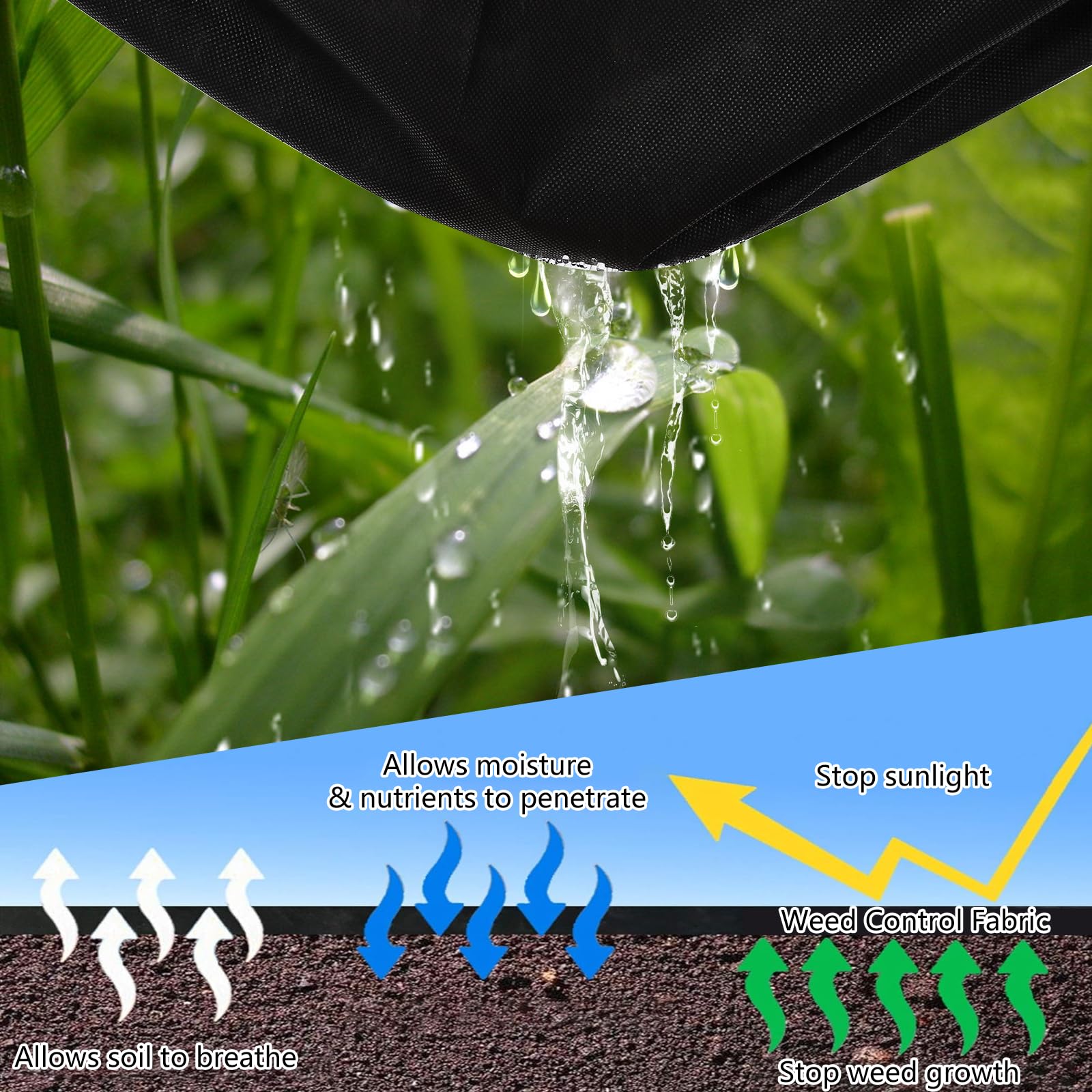 PHO_0ZNMAPW4