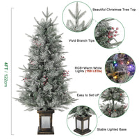 Albero di Natale Garvee 125cm con luci e decorazioni - Base trasparente per un'elegante atmosfera natalizia