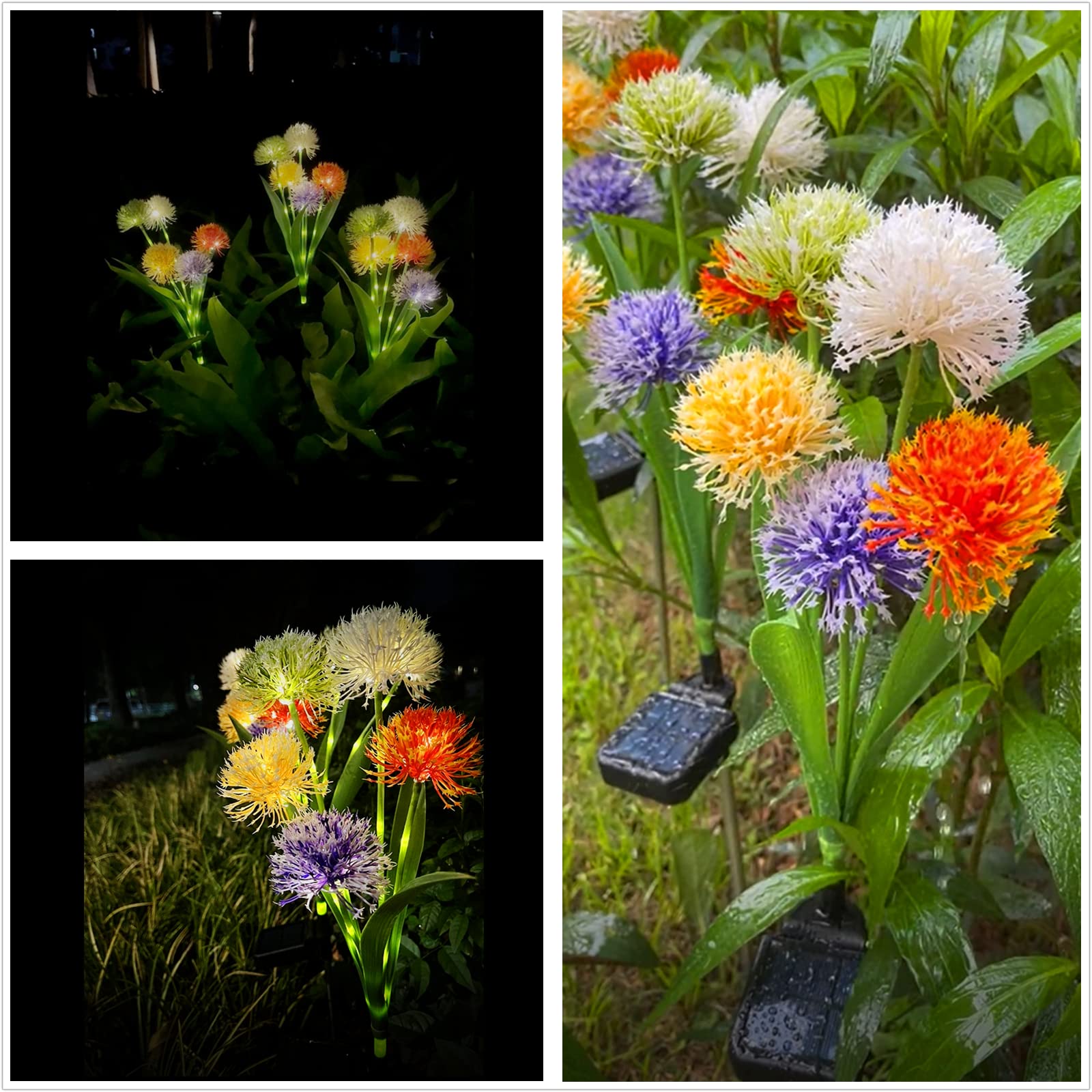 Luci solari da giardino Garvee, 5 teste LED, dente di leone, impermeabili IP65, bianco caldo, metallo, illuminazione per esterni, illuminazione per vialetti, illuminazione per cortile