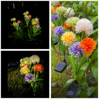 Garvee Confezione da 2 luci solari da giardino, LED a 5 teste a forma di dente di leone, bianco caldo, IP65 impermeabile, illuminazione per esterni, illuminazione per vialetti