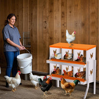 Nido per galline Garvee, 6 scomparti, acciaio zincato, antiruggine, confortevole, con staffe, arancione, per giardino e fattoria
