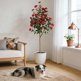 Garvee Albero Artificiale di Camelia 5FT - Foglie Realistiche - Decorazione Interna ed Esterna per Ufficio, Casa, Veranda - Verde - Red