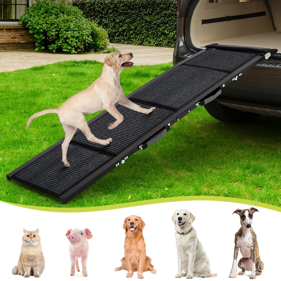 Rampa per auto Garvee Dog Ramp 180.34x50.8 cm Rampa pieghevole in alluminio di grandi dimensioni con superficie antiscivolo per SUV, camion, cani di taglia media e grande, leggera e portatile, capacità di 122.47 kg