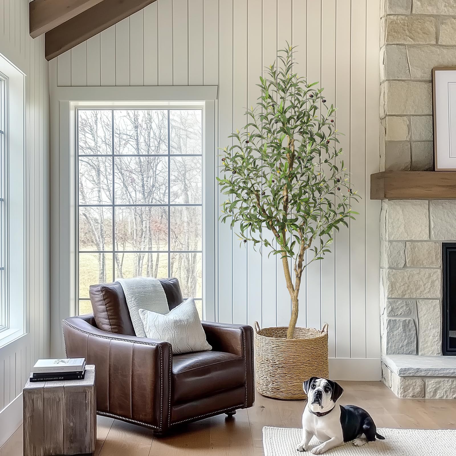 Albero di ulivo artificiale Garvee da 6 piedi con frutti realistici e tronco flessibile per interni, soggiorno, ufficio, vaso bianco