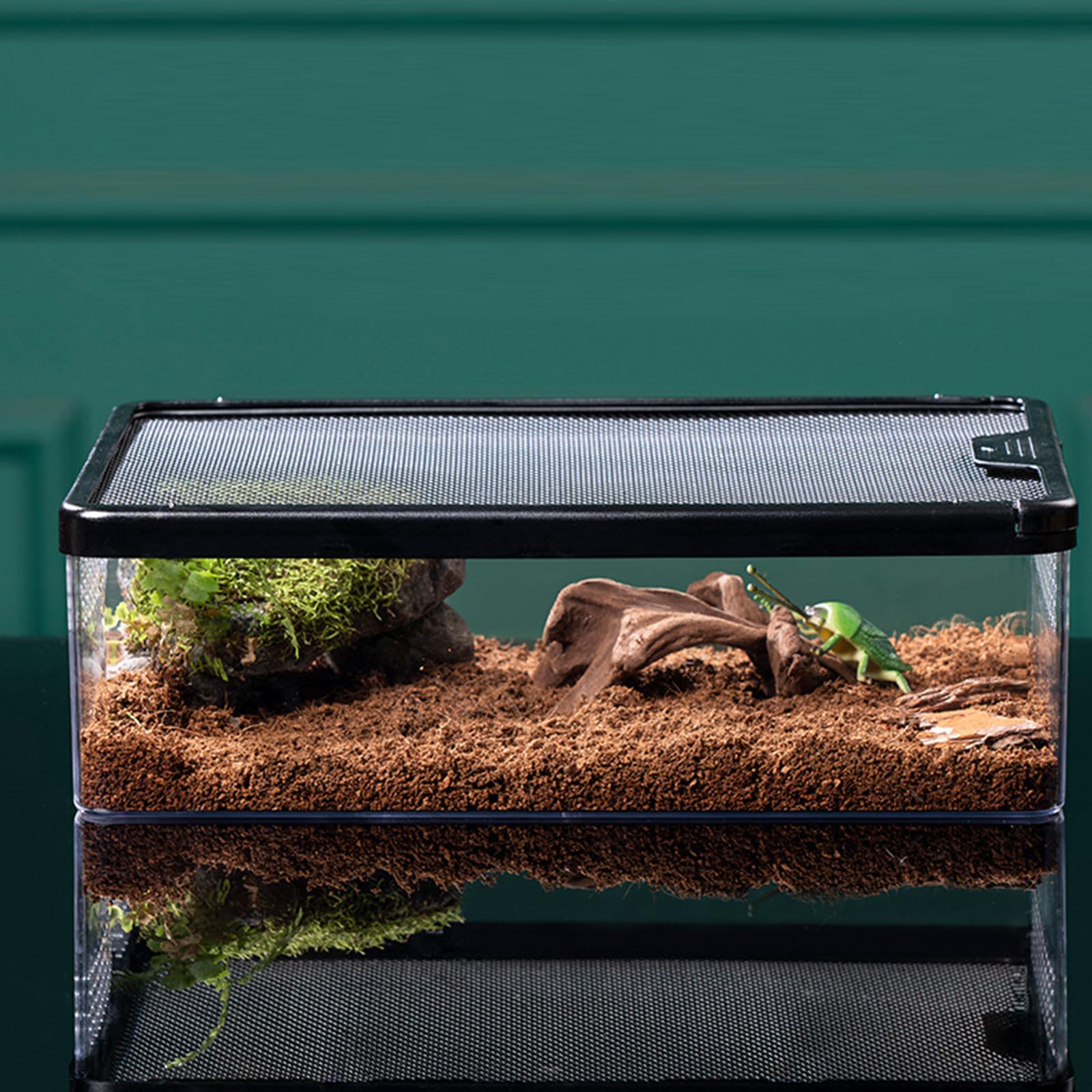 GARVEE Rettile Terrario Insetti Tarantola Recinto Vasca con Fori Traspiranti per Allevamento Rane, Criceti, Serpenti, Tartarughe, Lucertole, Anti-Pulci, Taglia Media, Trasparente