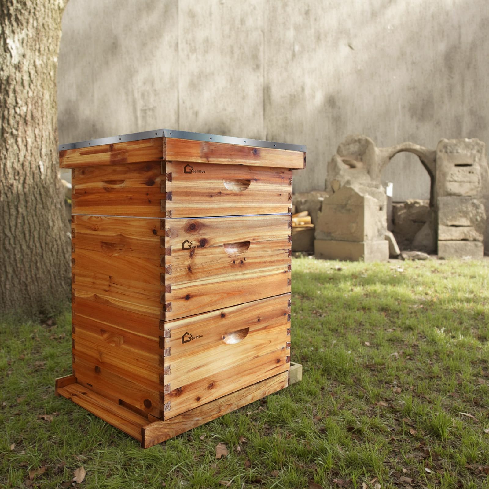 Garvee Beehive Starter Set Langstroth 10-Frame Cedar Wood Bees wax Beekeeping Beginner Set Accessori completi per arnie