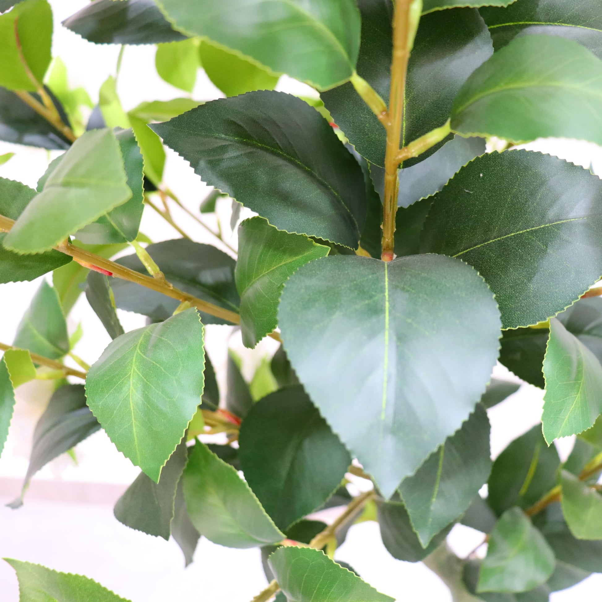 Garvee Set di 2 alberi di camelia artificiali da 150 cm, foglie e fiori realistici, facile da pulire, soggiorno e ufficio, avorio