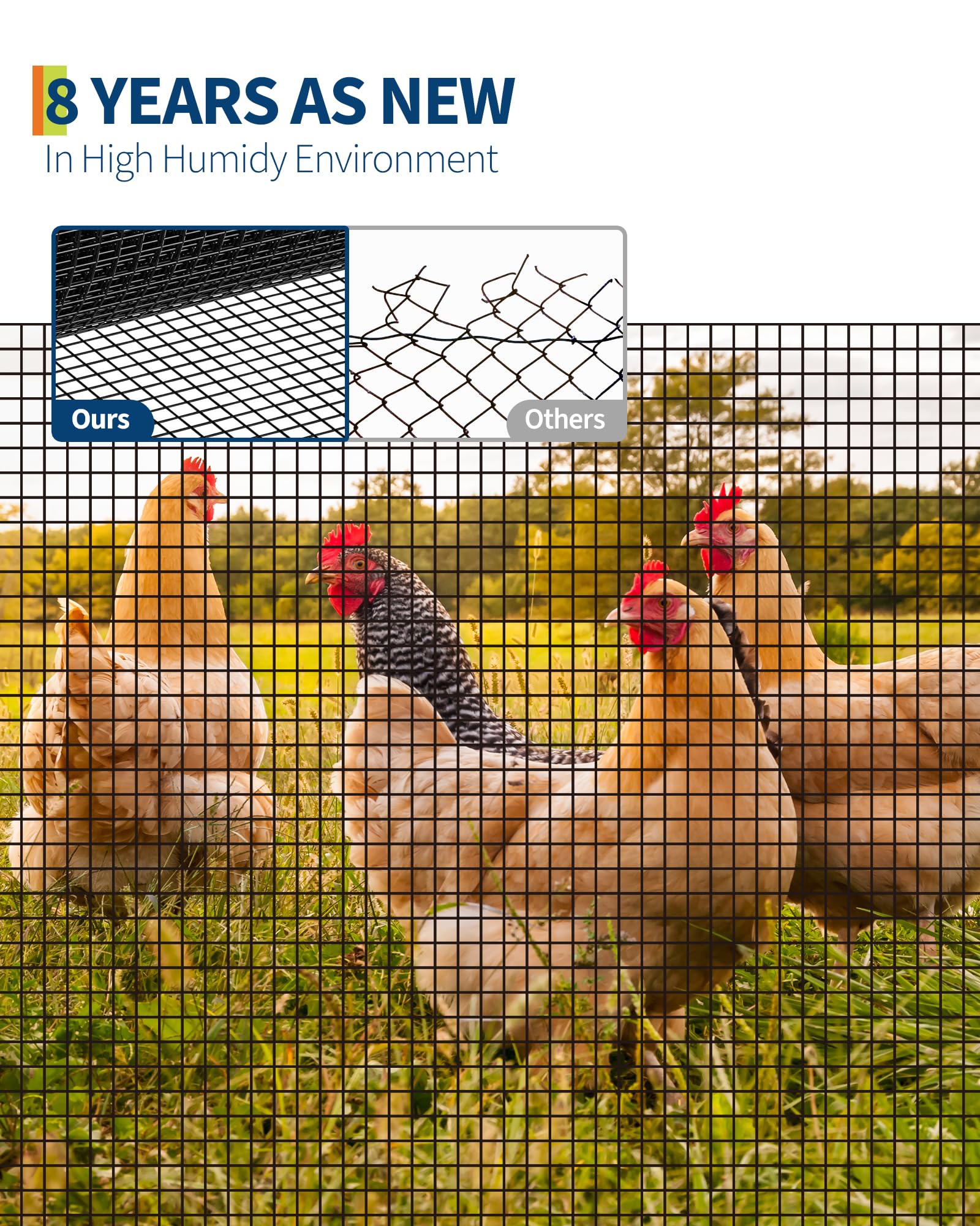 Rete metallica Garvee da 1/2 pollice 36x50 piedi, zincata 19GA, rivestita in vinile nero, antiruggine, leggermente flessibile per pollame e giardino