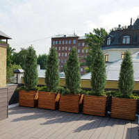 Garvee - Topiaria artificiale in cedro, confezione da 2, 91 cm, resistente ai raggi UV, realistica, a bassa manutenzione, resistente alle intemperie, per giardino e uso interno, verde