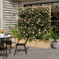 Garvee Frangivista in legno di cedro con fioriera - 3 pezzi, autoportante, resistente alle intemperie per patio e giardino, legno naturale, 62x10x65 cm