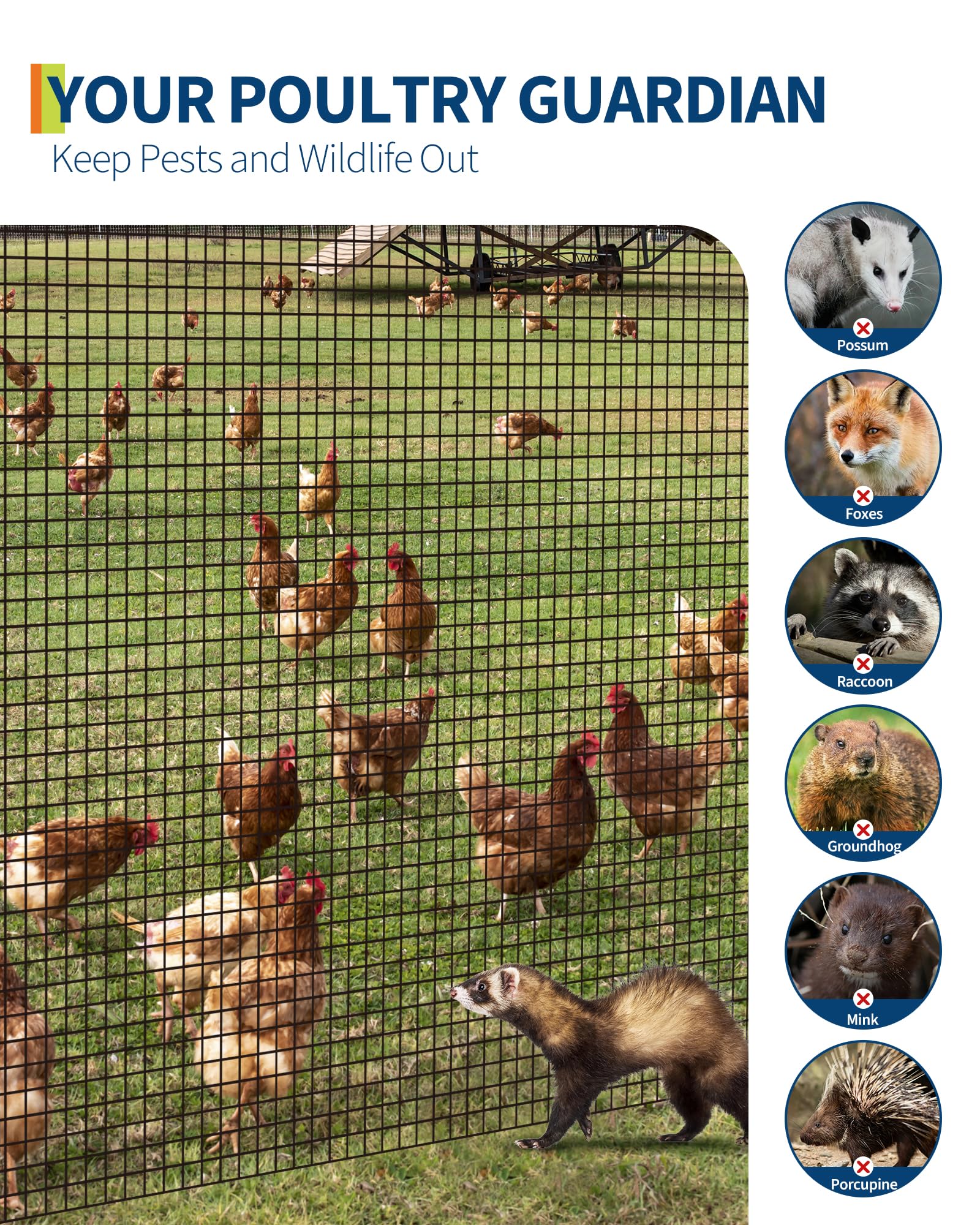 Rete metallica Garvee da 1/2 pollice, 36x100 piedi, 19 GA, zincata, nera, per la protezione di pollame e giardino, robusta, durevole, versatile