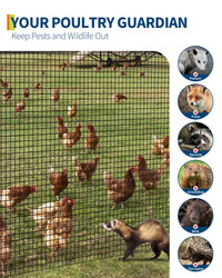 Rete metallica Garvee da 1/2 pollice, 36x100 piedi, 19 GA, zincata, nera, per la protezione di pollame e giardino, robusta, durevole, versatile