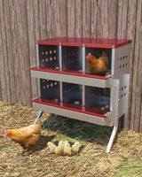 Garvee Scatola per Nidi di Galline in Acciaio Zincato 6 Fori con Vassoio Raccolta Uova per Pollai e Cortili, Resistente, Facile da Pulire, con Aste per Posatoi - Rosso