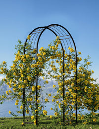 Arco da giardino Garvee da 8 piedi in acciaio, verniciato a polvere, resistente a tutte le intemperie, con picchetti per giardino e matrimoni, larghezza 150 cm, altezza 240 cm, nero