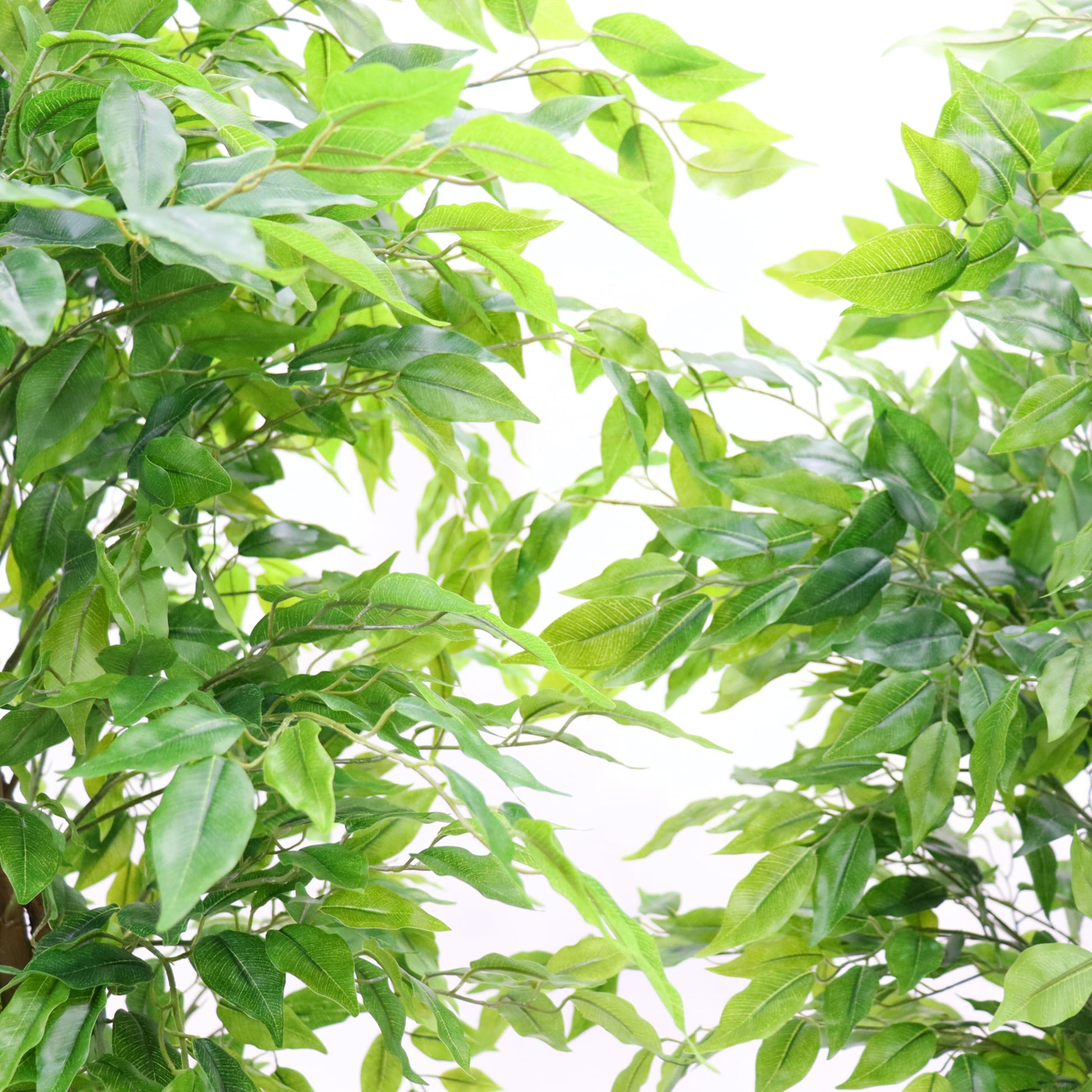 Albero di ficus artificiale Garvee da 5 piedi con foglie di seta e robusto vaso di cemento per casa e ufficio, verde