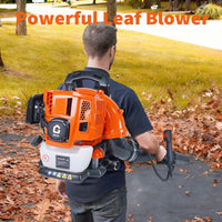 Soffiatore per foglie a zaino Garvee 52CC, motore a 2 tempi da 2,2 CV, per giardino e neve, 780 CFM, ergonomico, leggero, serbatoio da 1,2 l, impugnatura antivibrazione